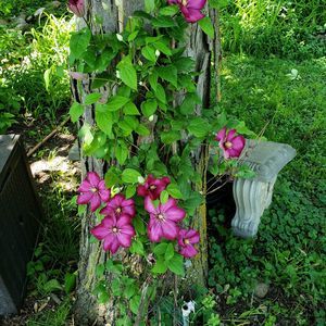 Meet your Posher, Molly